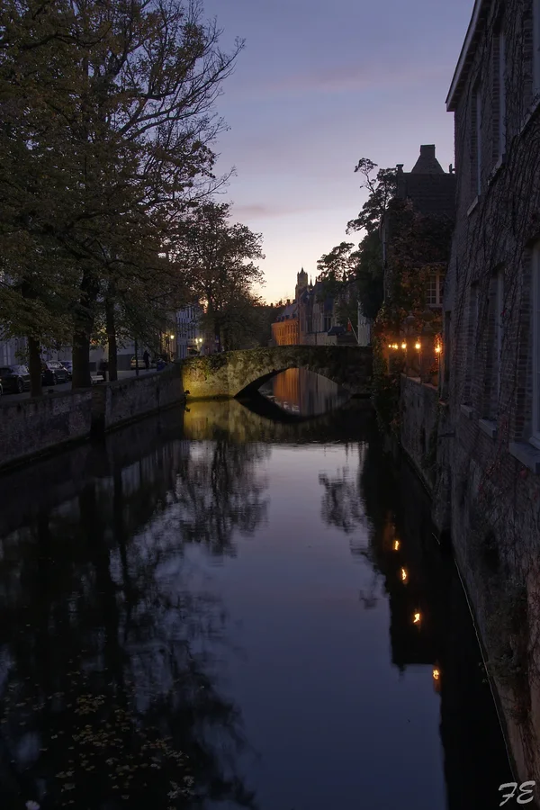 _IMG7977_DxO.webp