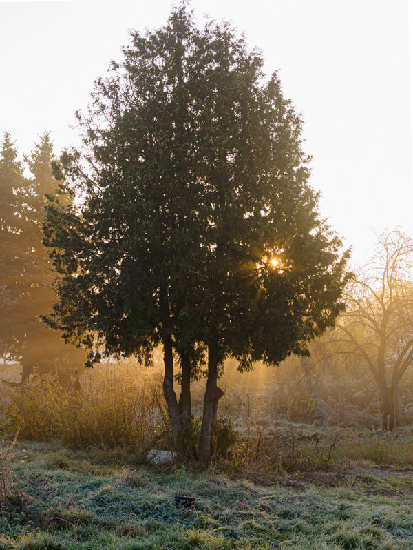 Sedlitz 2021-1291.jpg Sedlitz 2021-1291.jpg