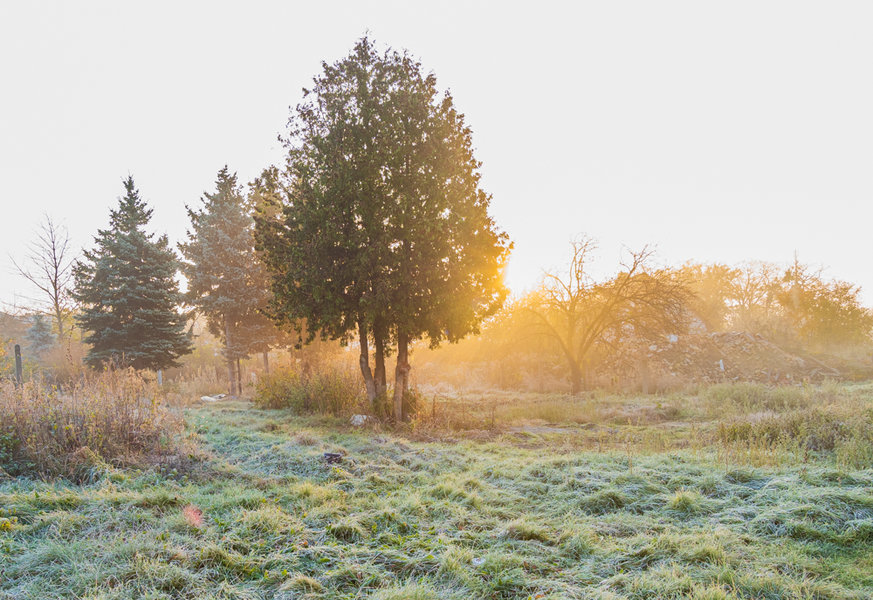 Sedlitz 2021-1293.jpg Sedlitz 2021-1293.jpg