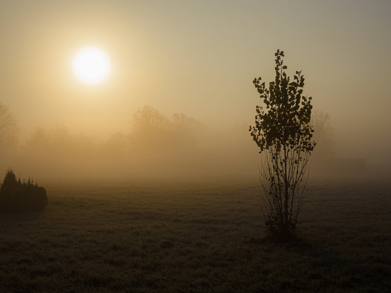 Sedlitz 2021-1313.jpg Sedlitz 2021-1313.jpg