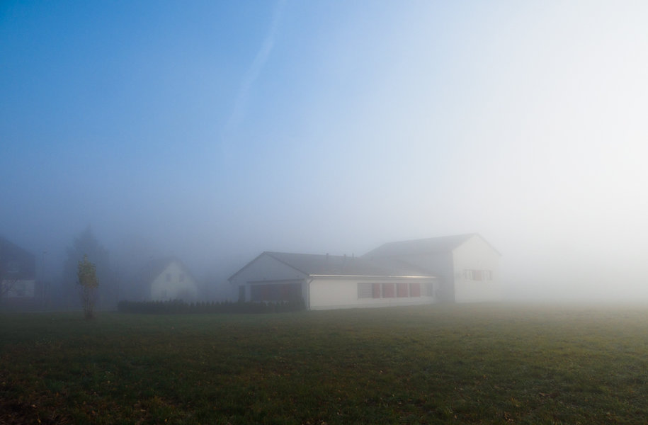 Sedlitz 2021-1356.jpg Sedlitz 2021-1356.jpg