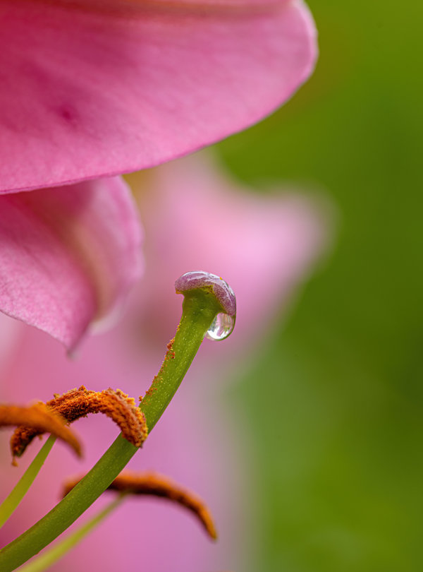 Juli 2016-45-NEF_DxO_DeepPRIME-Bearbeitet.jpg