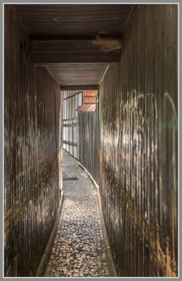 UMB_2647.webp