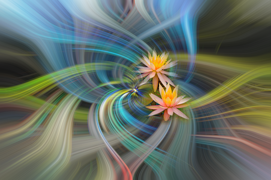 DSC_8511_copiright.png