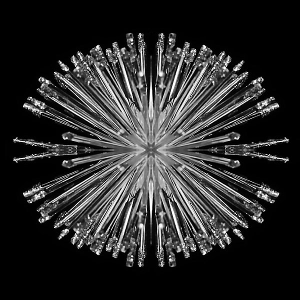 ChristtbaumsternCLSCHWARZWEISS1856QUADRAT_666x666.jpg
