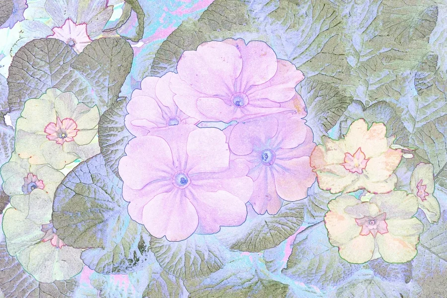 BlumenköpfemdivFarbCL185FINTMPFINGRAFIK_999x666.webp