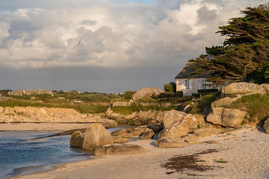 comp__74I1387.jpg