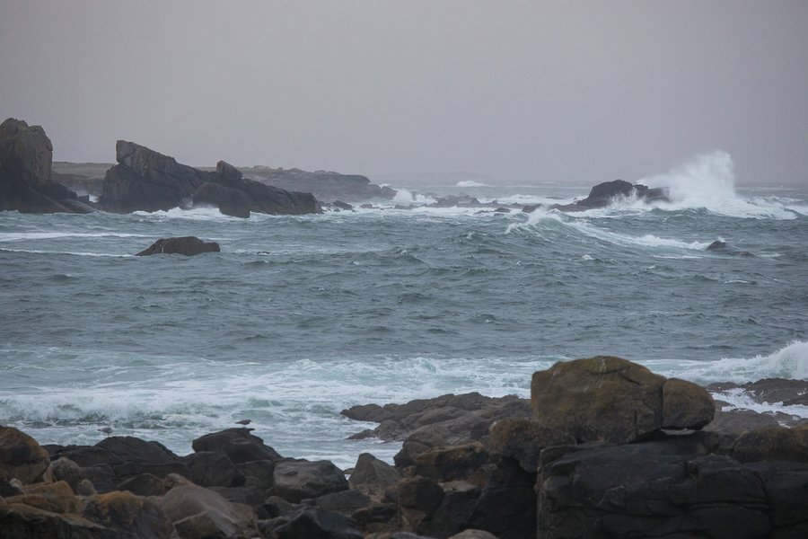 comp_1E1A7623.jpg