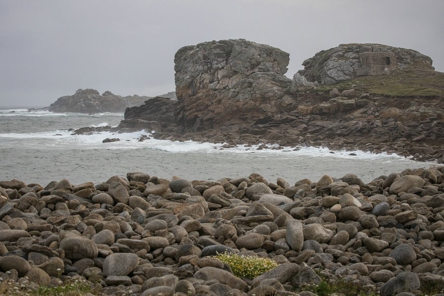 comp_1E1A7666.jpg
