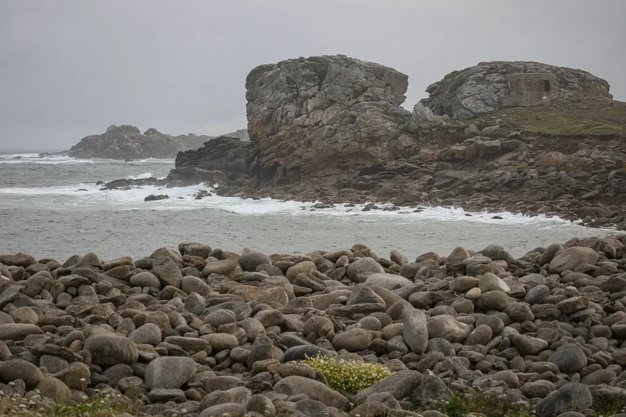 comp_1E1A7666.webp