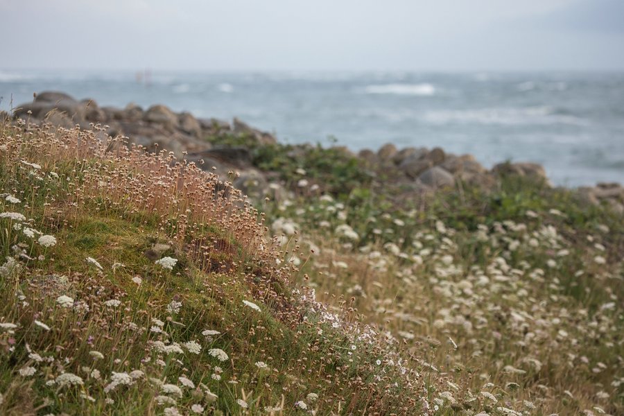 comp_1E1A7670.jpg