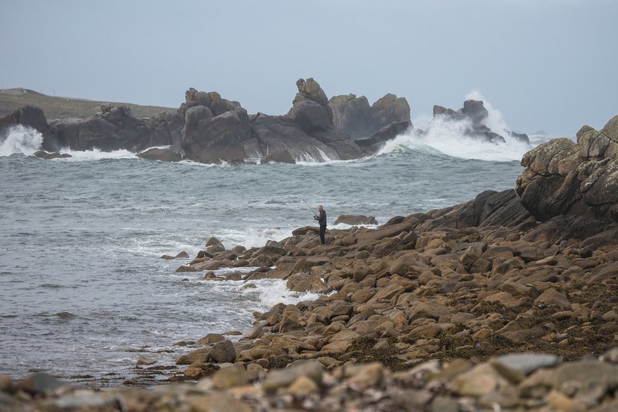 comp_1E1A7687.jpg