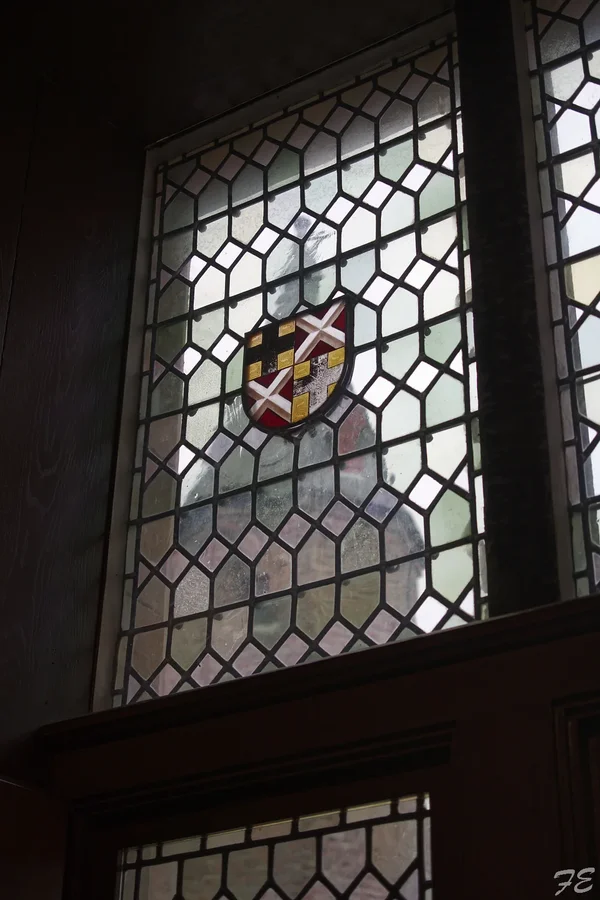 _IMG8074_DxO.webp