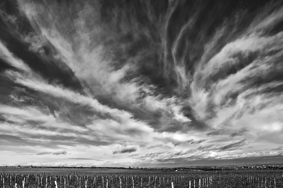 ci_A7303927_sep3.webp ci_A7303927_sep3.webp