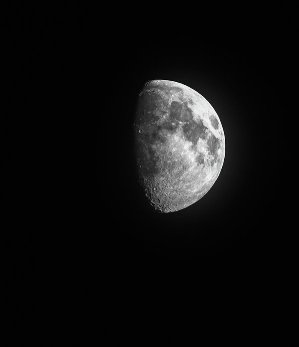 Sedlitz 2021-463-Bearbeitet-Bearbeitet-Bearbeitet.jpg