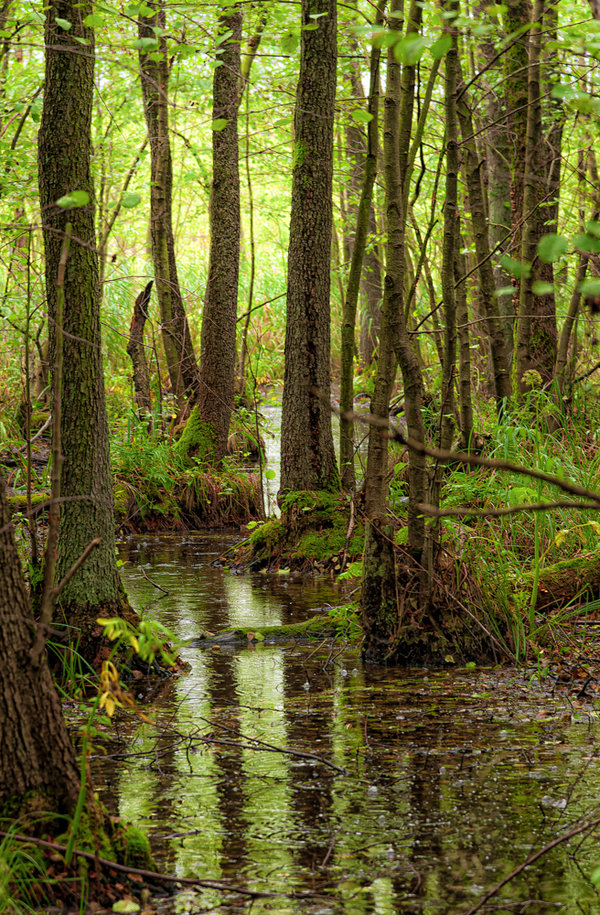 Müritz September 2014-49-NEF_DxO_DeepPRIME-Bearbeitet.jpg