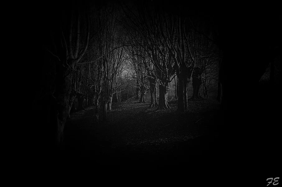_IGP2677_Nik_DxO.webp