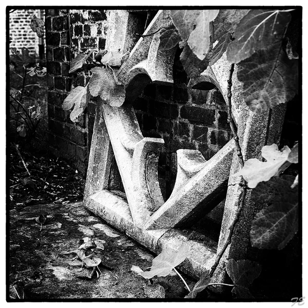 _IMG8316_Nik_DxO.webp