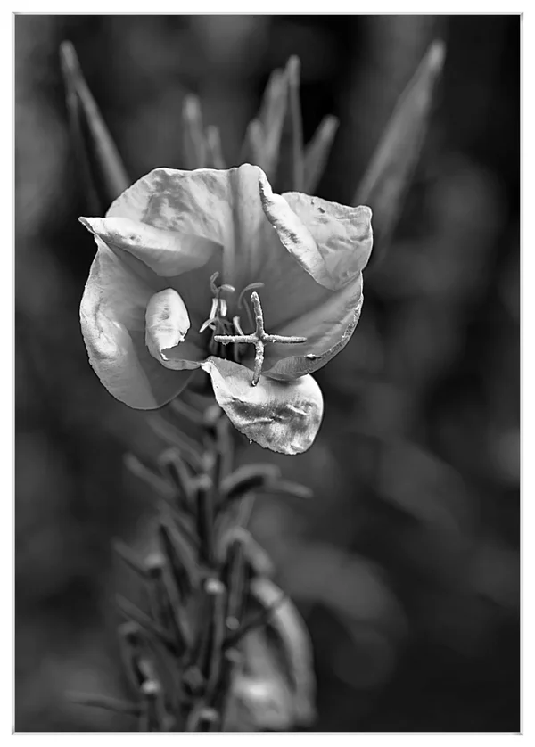 _small_04 Tölz - vom Friedhof zum Walgerfranz.webp