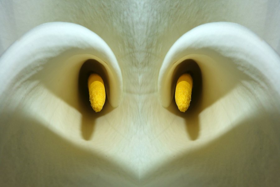 StilaugenDOPPELSYMDLUX6_999x666.jpg