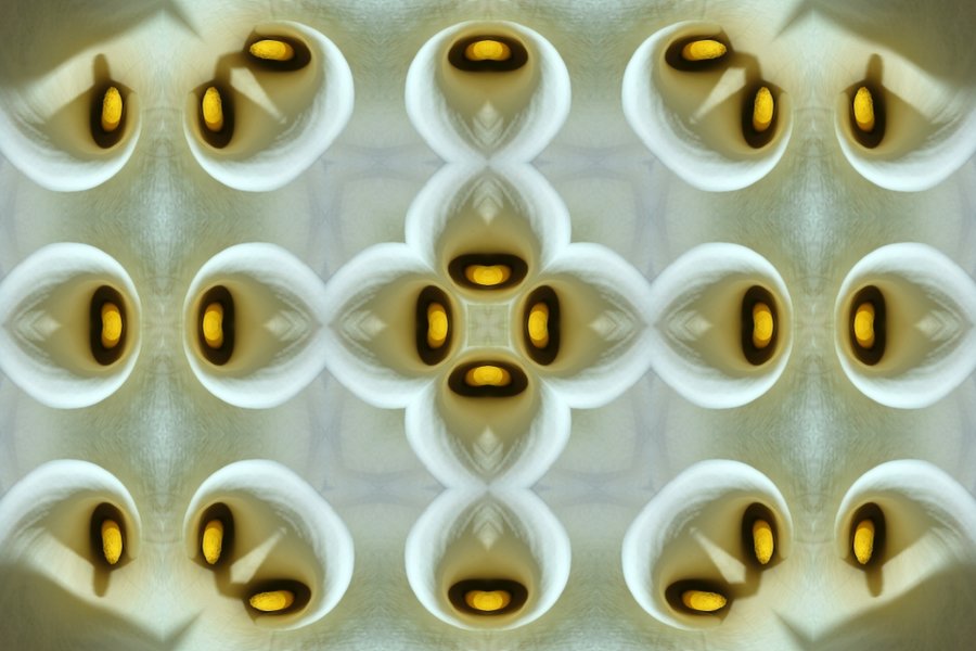 StilaugenVielfachEscherDLUX&_999x666.jpg