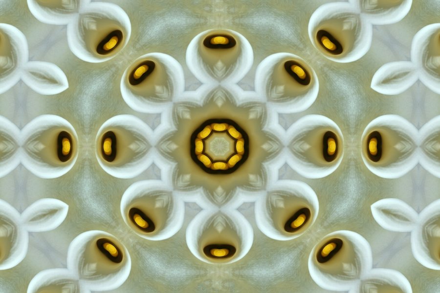 StilaugenVielfachVARIANTEZWEIEscherDLUX6_999x666.jpg