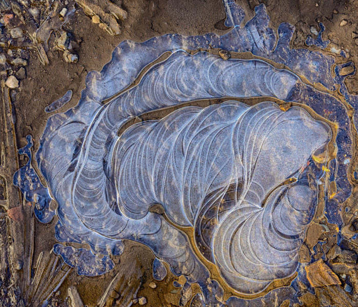 Sedlitz 2022-52-Bearbeitet.jpg