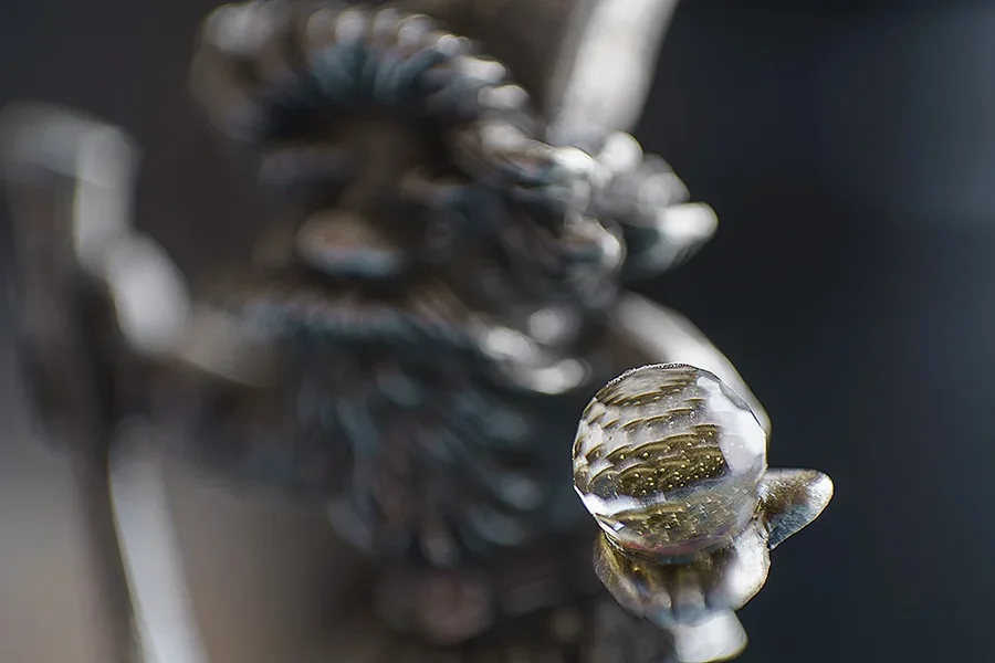 ci_A7304270.jpg