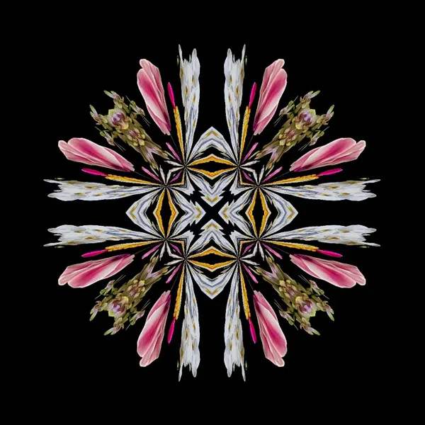 BlumensammlungBLUMENKUGElZENTRUMQUADRAT.jpg_666x666.webp