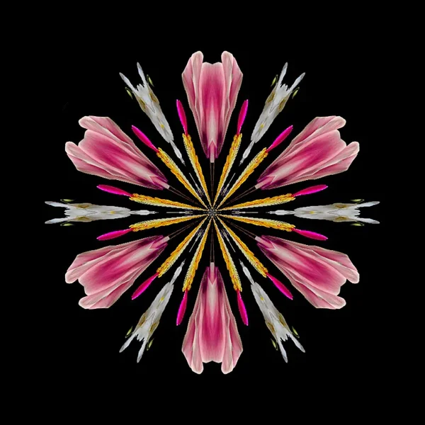 BlumensammlungBLUMENKUGElZENTRUMQUADRATVARIANTEZWEI.jpg_666x666.webp