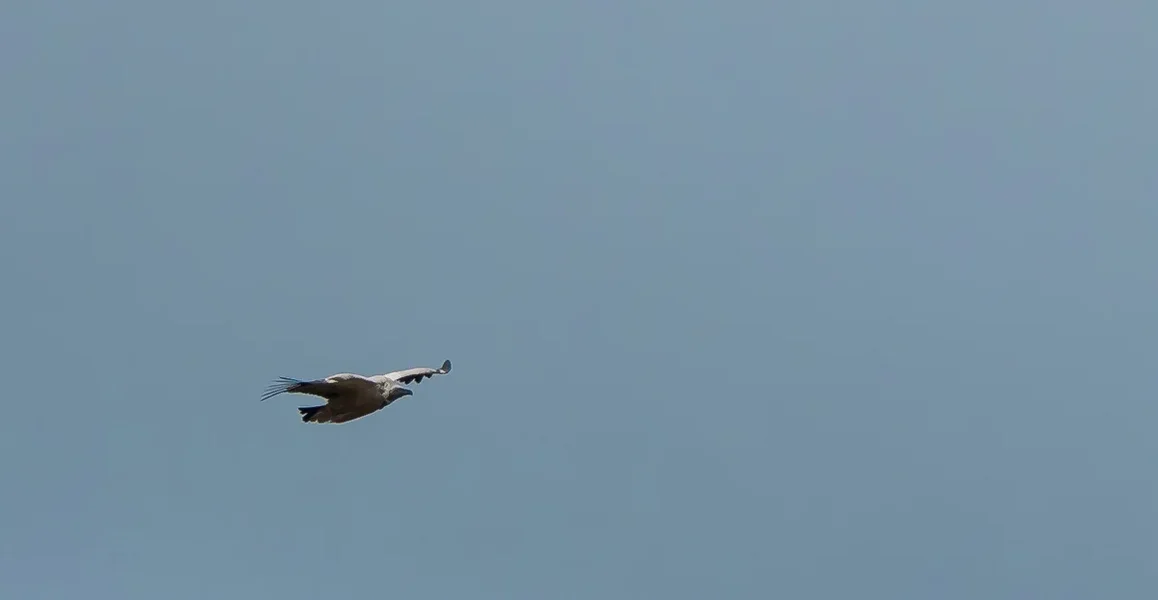 20220127-P1270733.jpg 20220127-P1270733.jpg