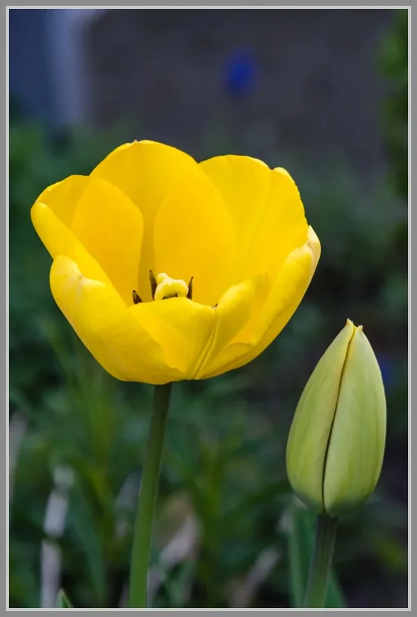 UMB_8438.webp