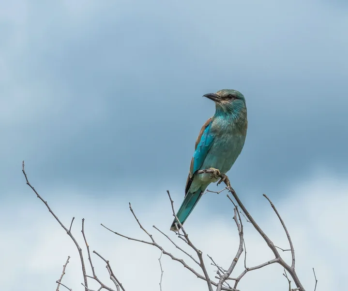 20220201-P2011227-Bearbeitet.webp