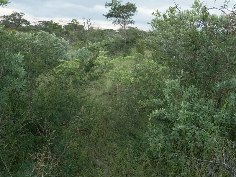 20220207-P2072662.jpg