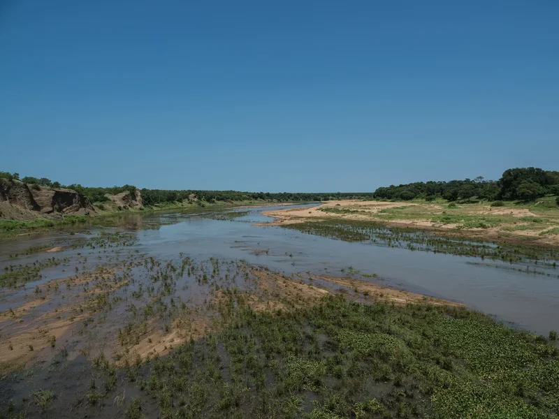 20220209-P2093393.jpg
