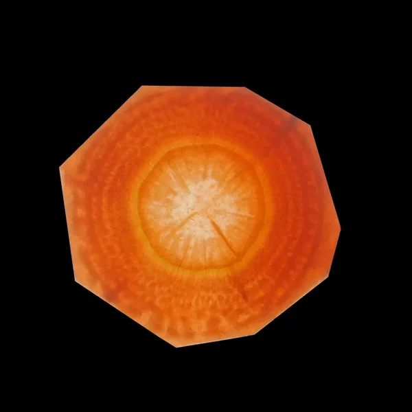 KarotteRotQuerschnttSL2Si105Mac2EXTQUADRATAUFSCHARZFIN_1000x1000.webp