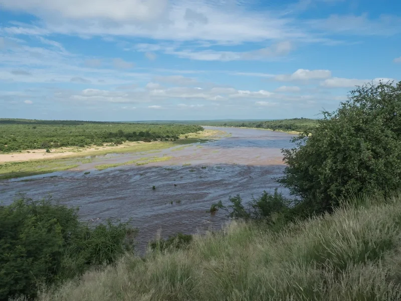 20220210-P2103616.jpg