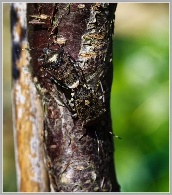 _small_IMGP7319_1_DxO.webp