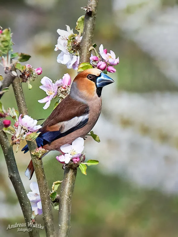 AW5_3636.jpg