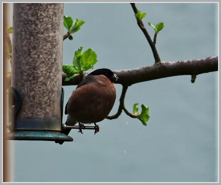 _small_IMGP7341_1_DxO.webp