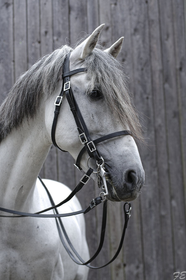 _IMG6117_DxO.jpg _IMG6117_DxO.jpg