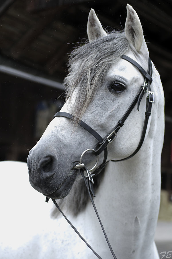 _IMG6392_DxO.jpg _IMG6392_DxO.jpg