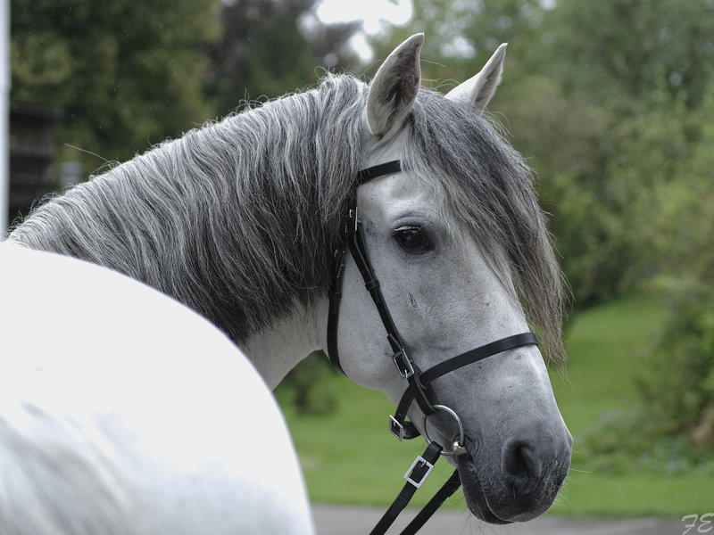 _IMG6406_DxO.jpg _IMG6406_DxO.jpg