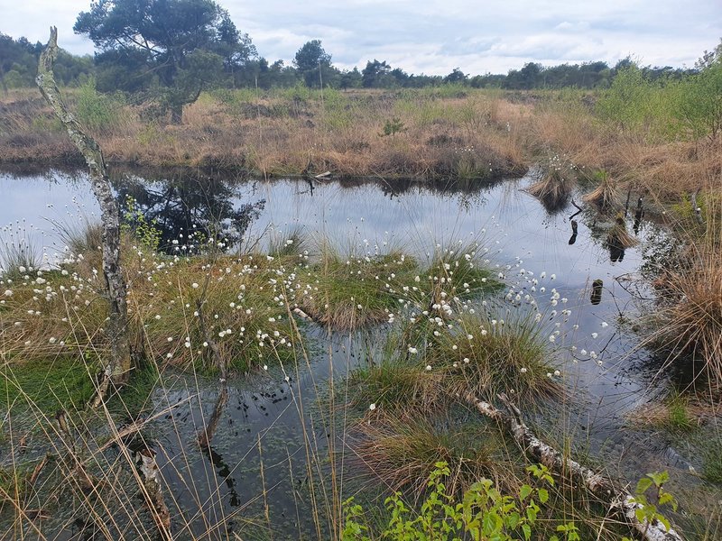 20220501_130334.jpg 20220501_130334.jpg