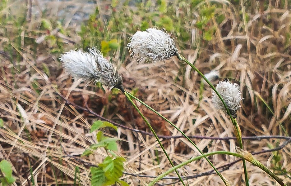 20220501-20220501_130026.jpg 20220501-20220501_130026.jpg