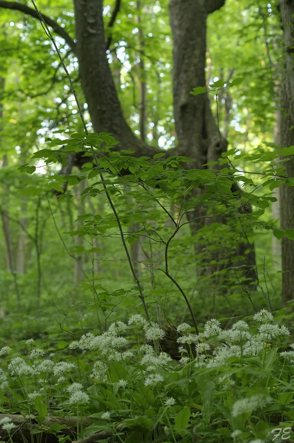 _IMG8811_DxO.webp