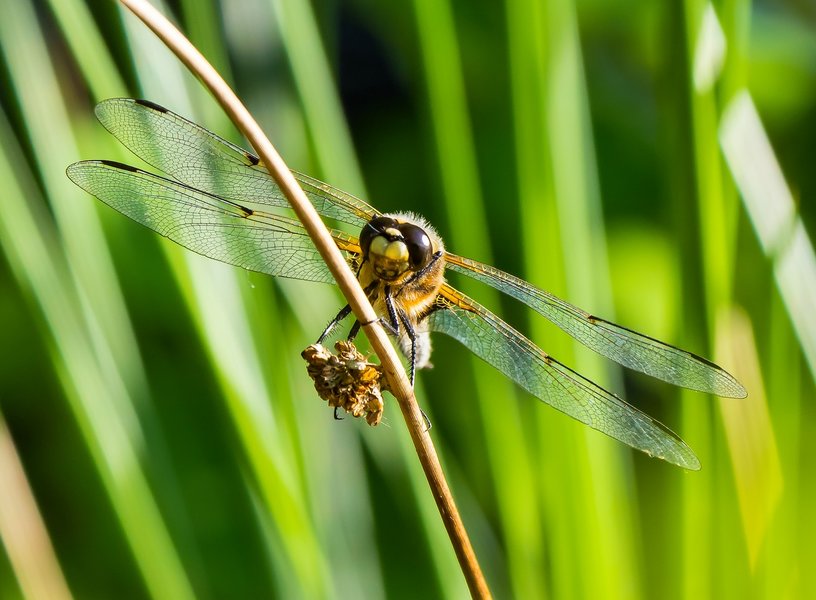 20220523-P5230447-Bearbeitet.jpg 20220523-P5230447-Bearbeitet.jpg