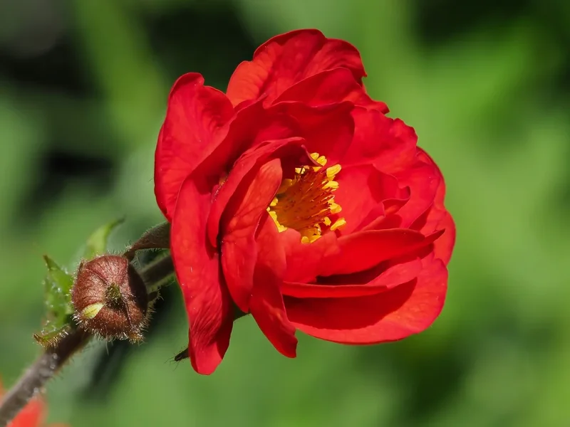 20220531-P5310068.webp