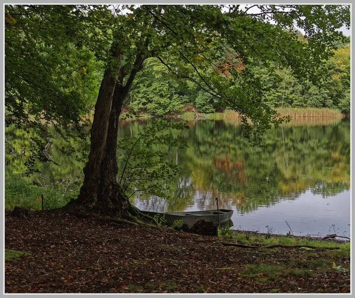 _small__IMG4517_1_DxO_DxO.webp