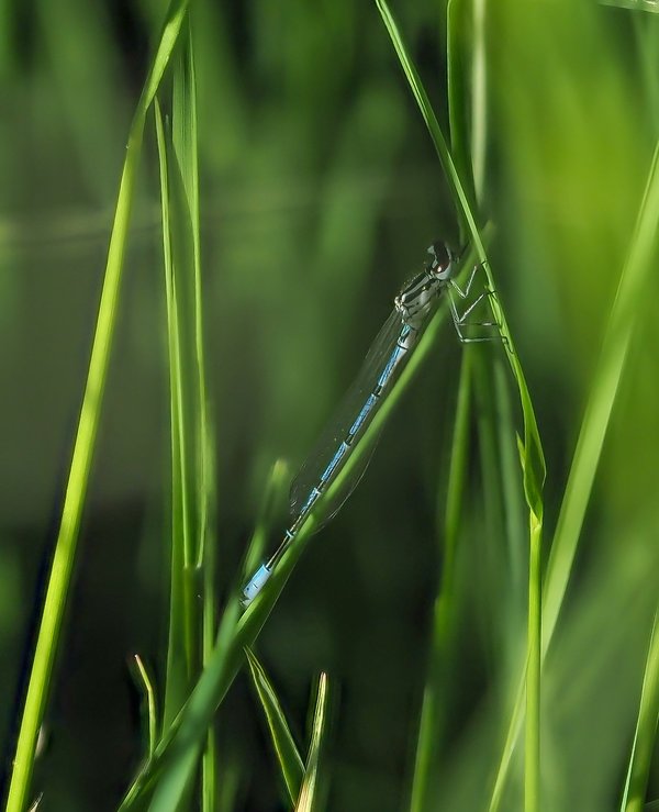 20220611-P6110165-Bearbeitet.jpg 20220611-P6110165-Bearbeitet.jpg